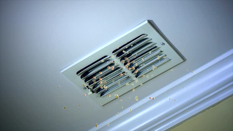 Best Residential Air Duct Cleaning  in Colwyn, PA